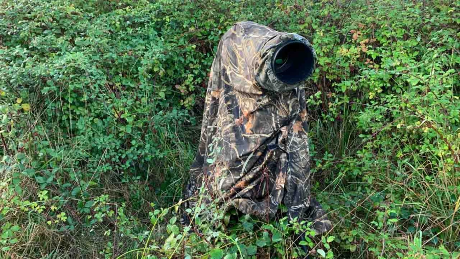 01 cerf bois sec pendant le brame
