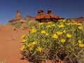 moab utah etats unis stage photo paysage amar guillen photogaphe large 14