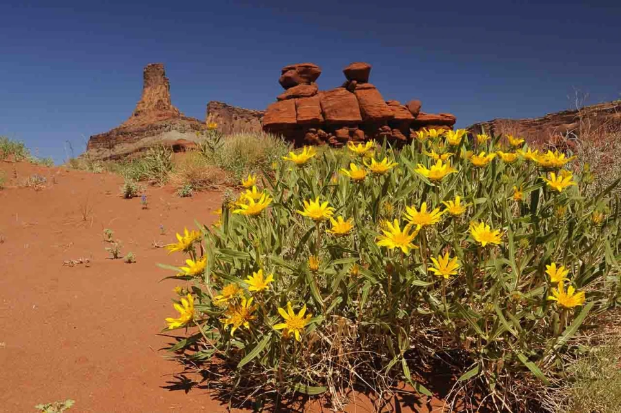 moab utah etats unis stage photo paysage amar guillen photogaphe large 14