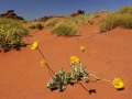 moab utah etats unis stage photo paysage amar guillen photogaphe large 15