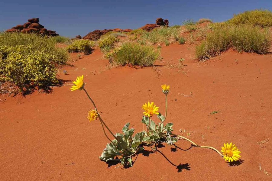 moab utah etats unis stage photo paysage amar guillen photogaphe large 15