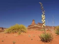 moab utah etats unis stage photo paysage amar guillen photogaphe large 16