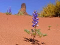 moab utah etats unis stage photo paysage amar guillen photogaphe large 20