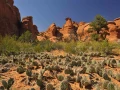 moab utah etats unis stage photo paysage amar guillen photogaphe large 8