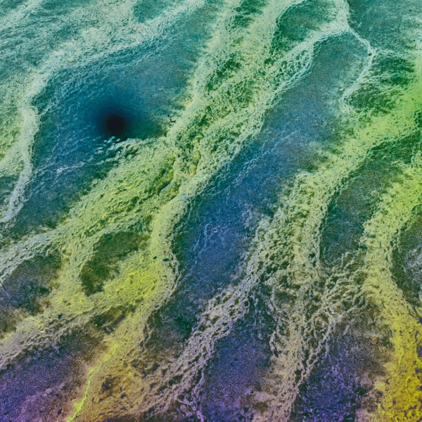 Yellowstone XXI
