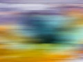 08 180816yellan1044c