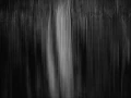 Illusion in BW I