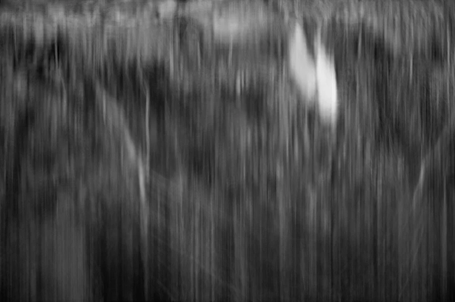 Illusion in BW II