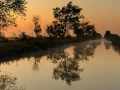 La Charentes Maritimes au printemps : mois de mai 2010