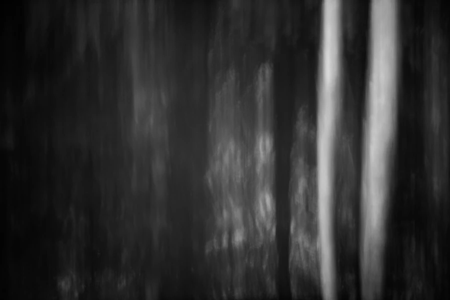 Illusion in BW III