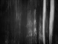 Illusion in BW III