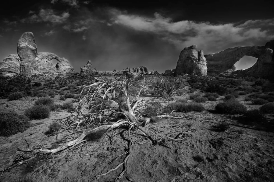 Paysage du parc national des Arches dans l'Utah aux Etats-unis.