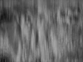 Illusion in BW IV