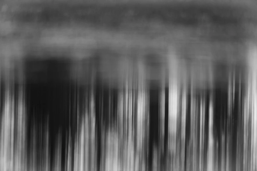 Illusion in BW V