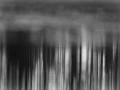 Illusion in BW V