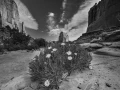 Landscape of Arches national park in Utah, United States.