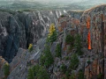Une langue de dragon dans le parc national de Black Canyon dans 