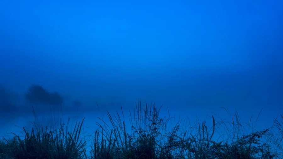 01 landscape wetland haute saintonge france