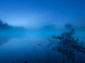 02 landscape wetland haute saintonge france
