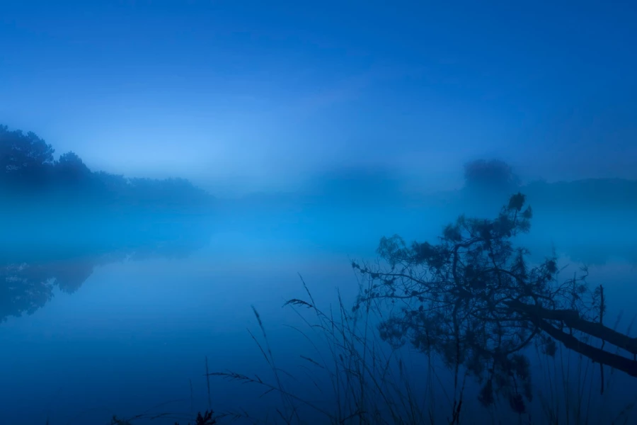 02 landscape wetland haute saintonge france