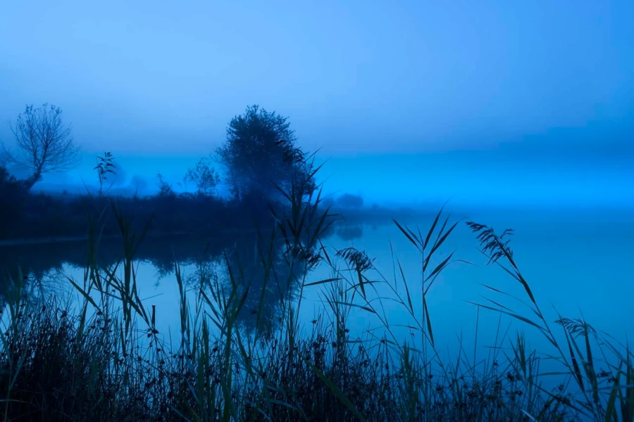 03 landscape wetland haute saintonge france