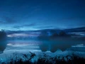 04 landscape wetland haute saintonge france