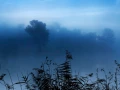 05 landscape wetland haute saintonge france
