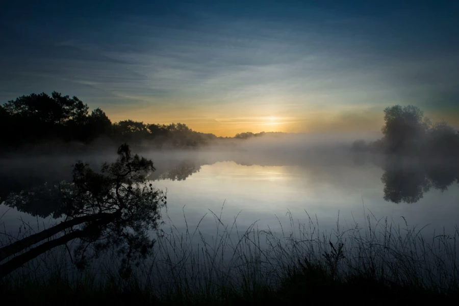 12 landscape wetland haute saintonge france