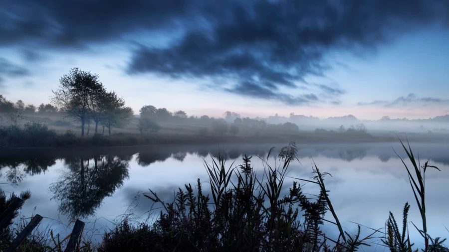13 landscape wetland haute saintonge france