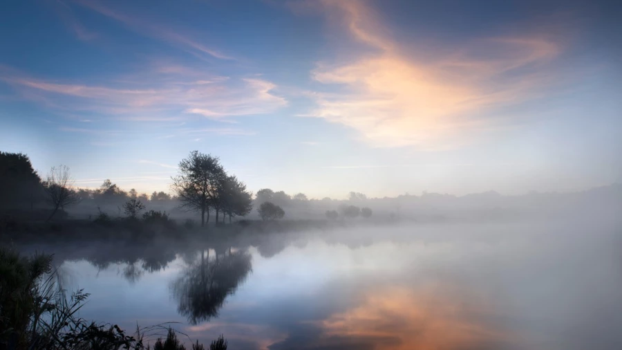 18 landscape wetland haute saintonge france