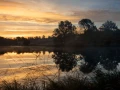 21 landscape wetland haute saintonge france