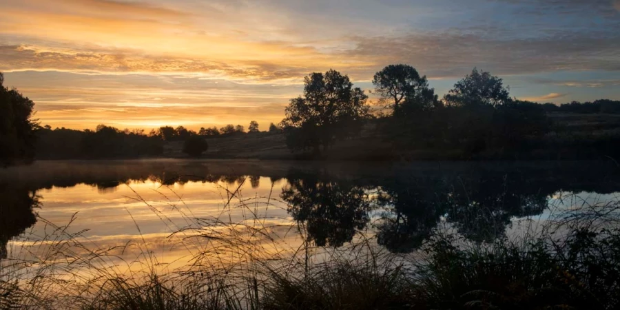 21 landscape wetland haute saintonge france