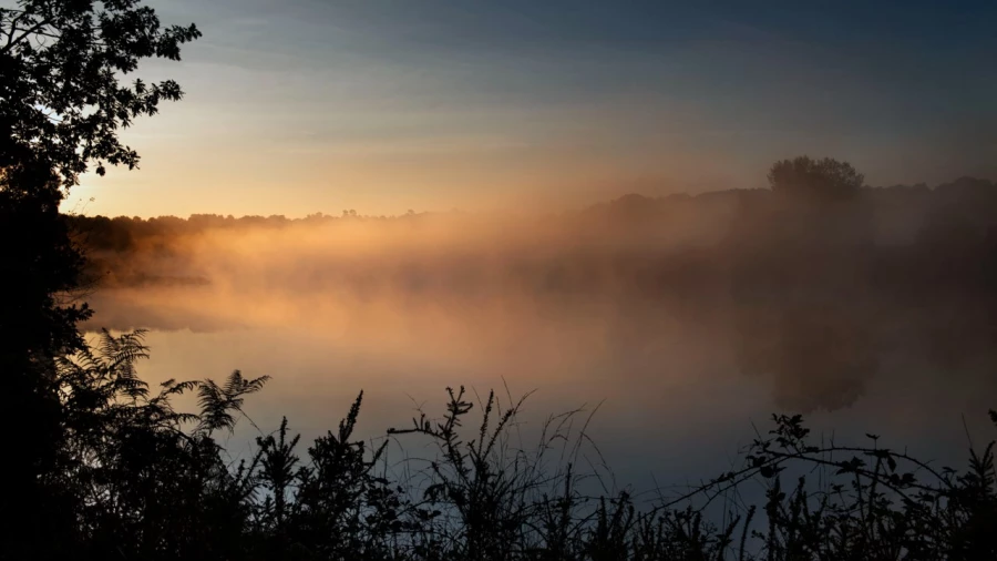 22 landscape wetland haute saintonge france