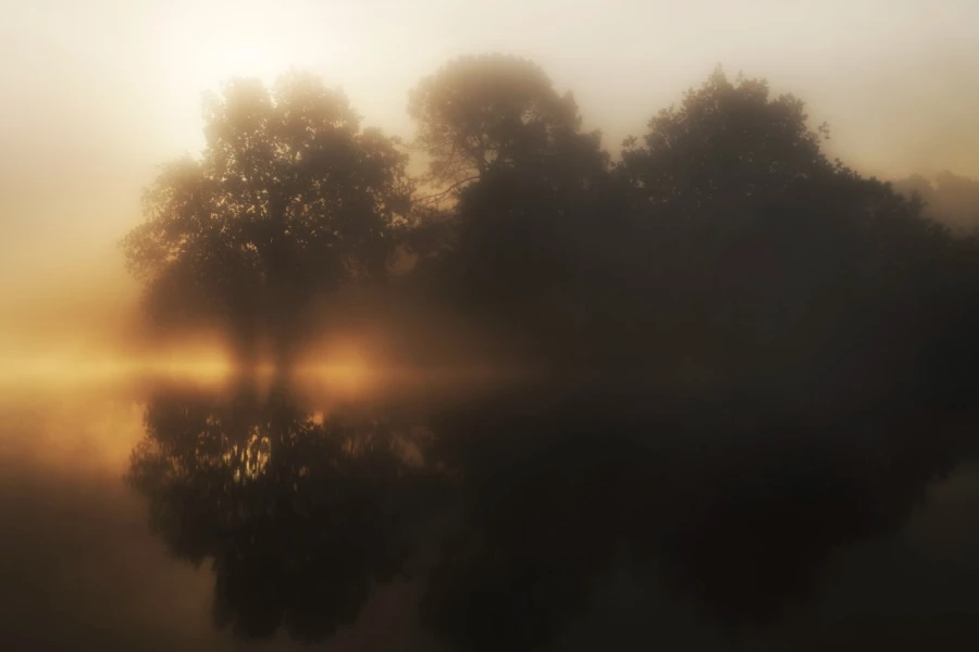 24 landscape wetland haute saintonge france