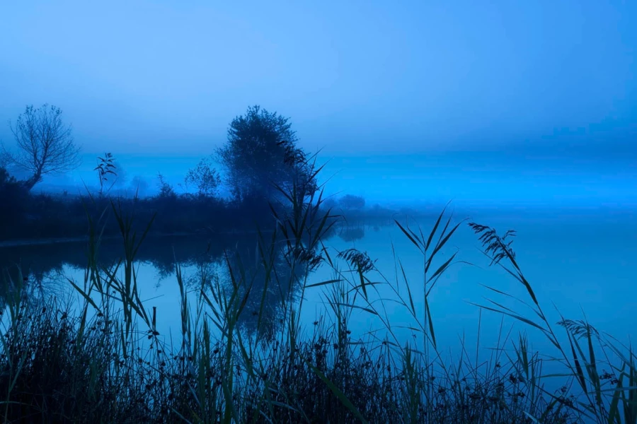 03 blue morning