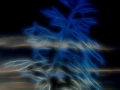 05 pond edges in fusion