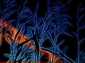 07 pond edges in fusion