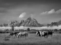 09 grand teton in wyoming