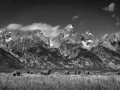 11 grand teton in wyoming