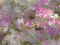 07 tulips azaleas in impression style