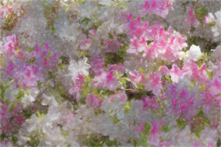 07 tulips azaleas in impression style