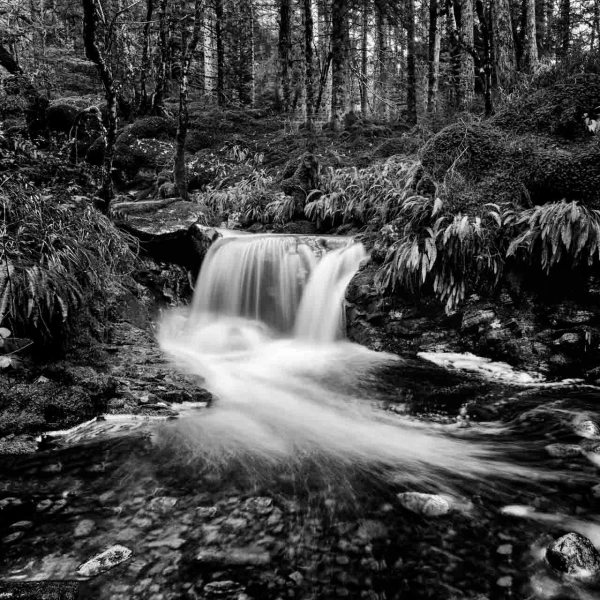 21 landscape mid highlands in scotland