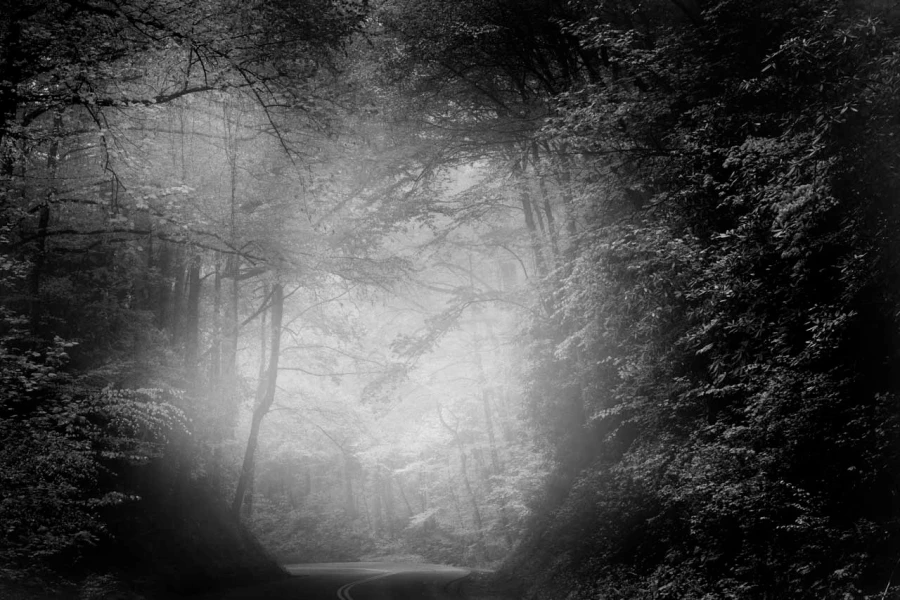 01 landscape smoky mountains underwood black and white