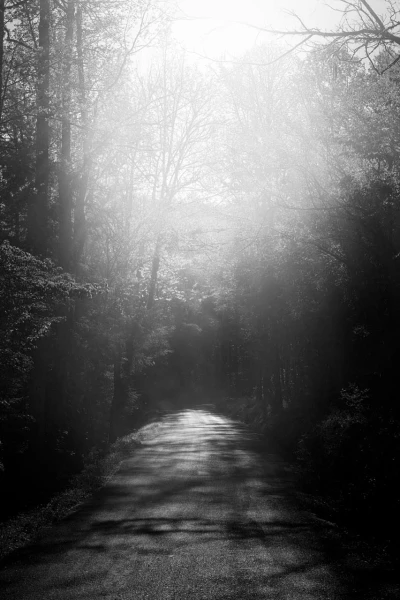 03 landscape smoky mountains underwood black and white