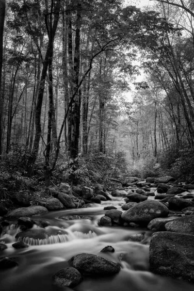 08 landscape smoky mountains underwood black and white