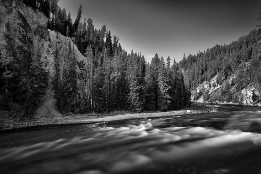 03 landscape yellowstone in black and white