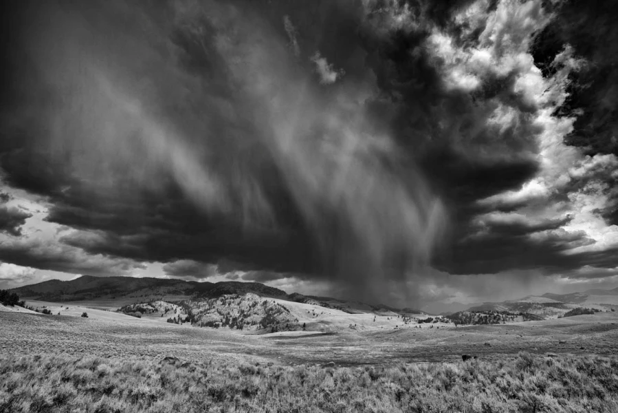 04 landscape yellowstone in black and white