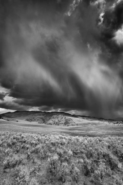 05 landscape yellowstone in black and white