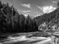 16 landscape yellowstone in black and white