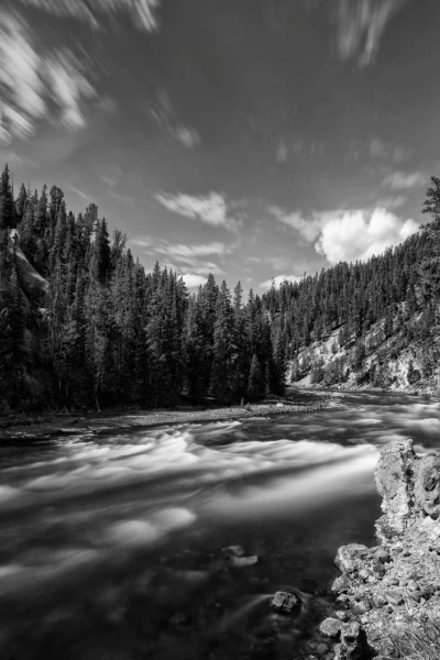 16 landscape yellowstone in black and white